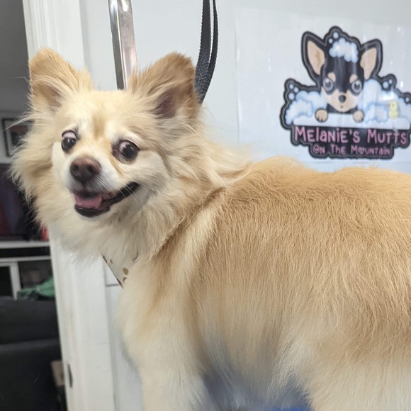 Meet your Posher, Ashlyn - Picture 8 of 10